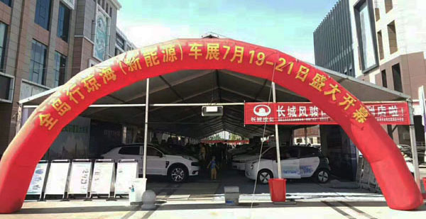 2019新能源汽车琼海车展  新能源专