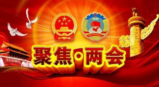 2020两会建议，李书福、王凤英、朱