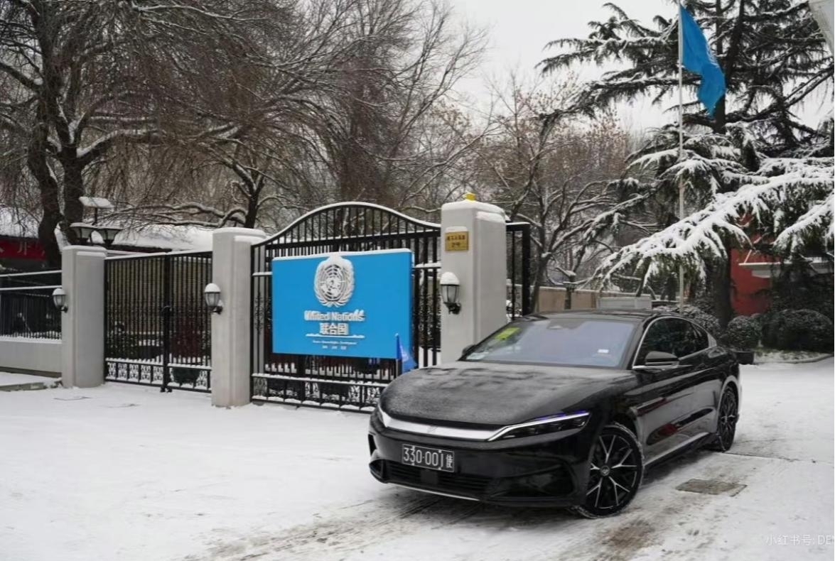 <strong>比亚迪喜提“国际编制”，海外公</strong>